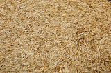 Kentucky 31 K31 Tall Fescue Grass Seed by Eretz – Choose Size! State Certified, No fillers, No Weed or Other Crop Seeds (3lbs)